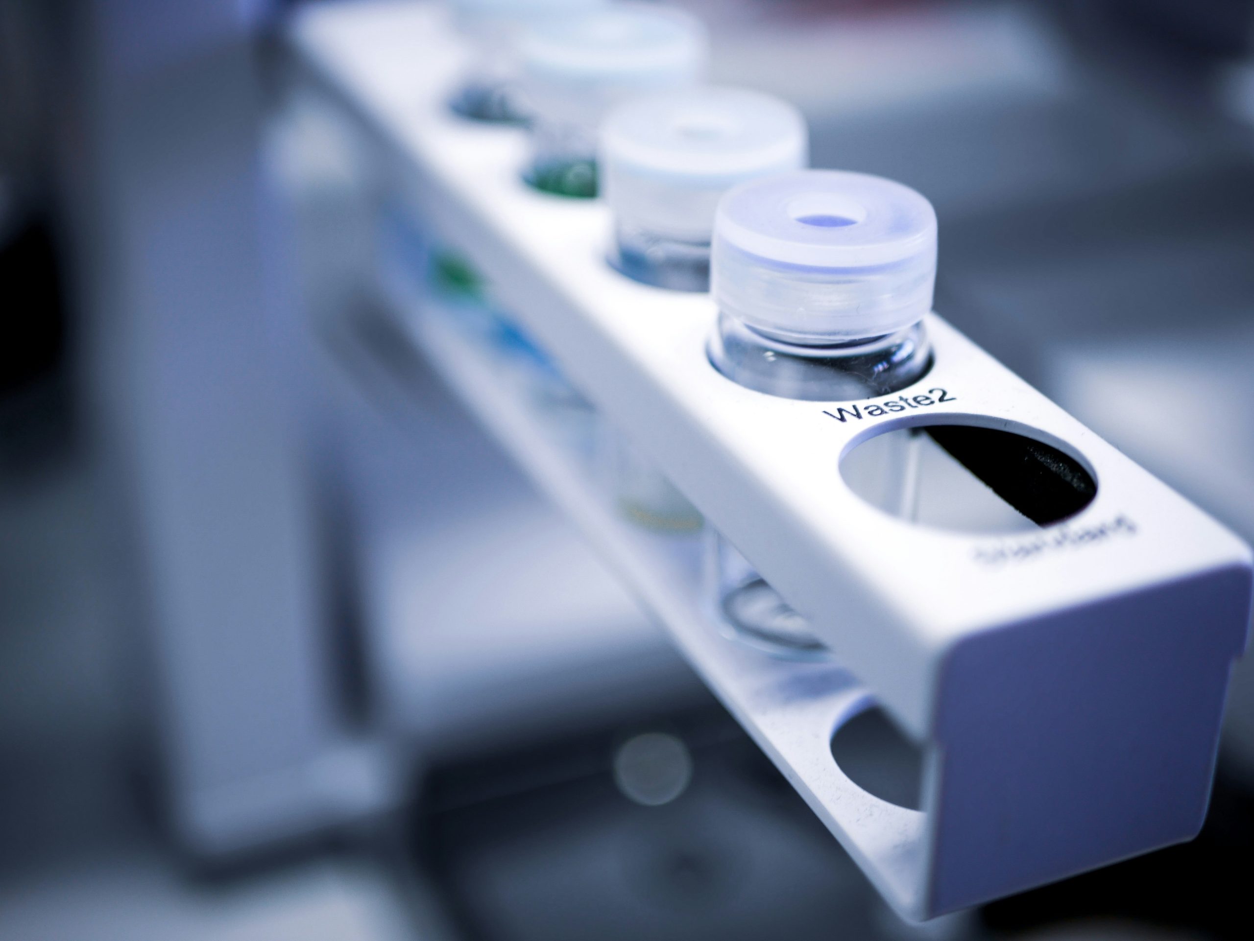 julia-koblitz-Wg47mj98lJc-unsplash